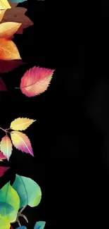 Colorful autumn leaves pattern on black background.