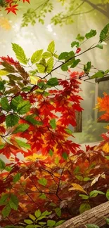 Autumn leaves and branches in lush forest