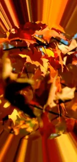 Dynamic autumn leaves with radiant orange rays.