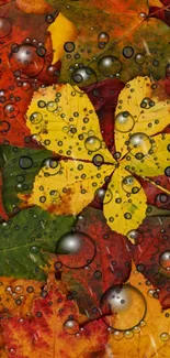 Vibrant autumn leaves with water droplets on a mobile wallpaper.