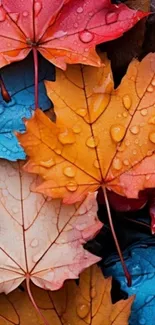 Colorful autumn leaves with water droplets