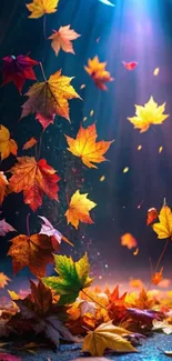 Vibrant autumn leaves falling under blue light.
