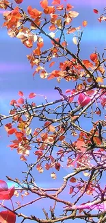 Vibrant red autumn leaves against a clear blue sky, captured on a mobile wallpaper.