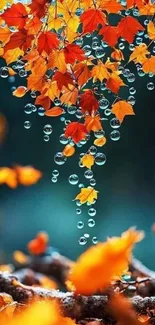 Vibrant orange autumn leaves with dewdrops.