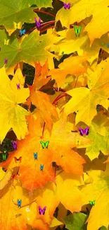 Vibrant wallpaper with yellow and orange autumn leaves.