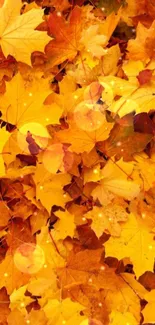 Mobile wallpaper of vibrant orange autumn leaves with a hint of yellow.