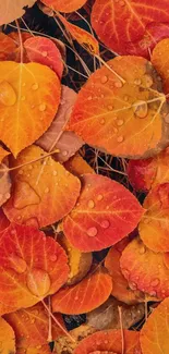 Orange autumn leaves with raindrops on a mobile wallpaper.