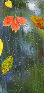 Mobile wallpaper of colorful autumn leaves and raindrops on glass.