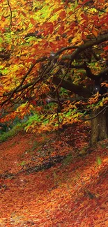 Vibrant autumn leaves on a forest path with bright orange hues.