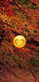 Autumn leaves with smiley on forest path.