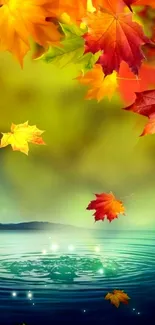 Colorful autumn leaves and serene water reflection wallpaper.