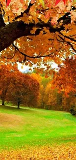 A beautiful autumn scene with orange leaves and green grass.