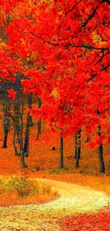 Autumn forest with vibrant red leaves and a winding path.