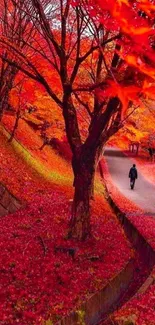 Vibrant autumn path lined with red and orange leaves.