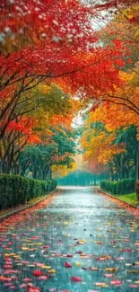 Scenic autumn pathway with colorful trees and rain-kissed path.