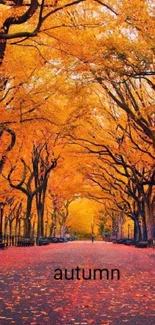 Orange autumn pathway lined with golden trees.