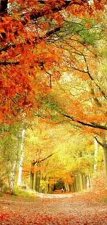 A vibrant autumn pathway with colorful fall leaves and trees.