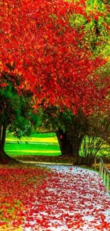 Vibrant autumn pathway with red leaves and green trees.