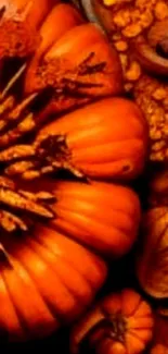 Autumn-themed wallpaper with bright pumpkins