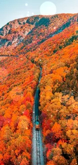 Train traveling through vibrant autumn landscape with orange leaves.