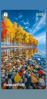 Colorful autumn trees reflected in a lake.