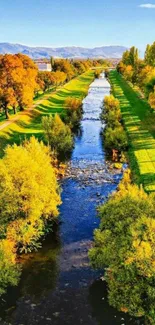 Vibrant autumn river view with colorful foliage and clear blue sky.