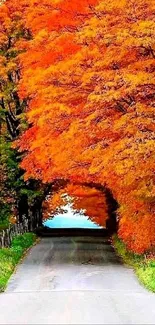 Vibrant autumn road with orange foliage and a serene pathway.