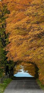 Serene autumn road with vibrant fall foliage.