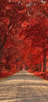 Autumn road with vibrant red-leafed trees lining the path under a clear sky.