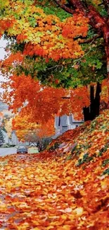 Autumn street with vibrant orange leaves and trees.