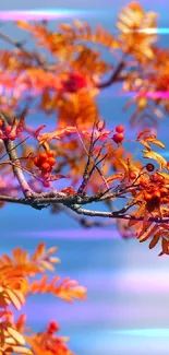 Vibrant orange leaves on a tree branch against a blue sky.