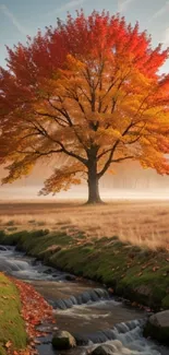 Vibrant autumn tree with orange leaves near a calm stream.