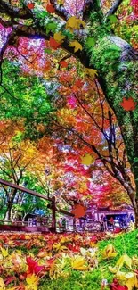 Vibrant autumn tree with colorful leaves and green moss.