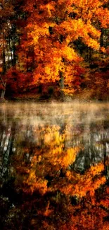 Beautiful autumn trees reflecting in a calm lake, showcasing vibrant orange hues.