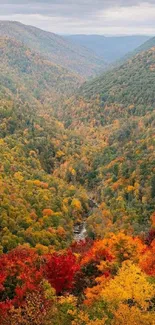 Vibrant autumn valley with colorful foliage scene.