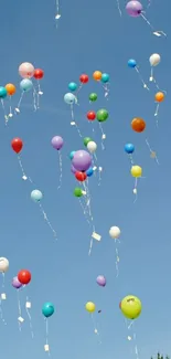 Colorful balloons floating in a clear blue sky.