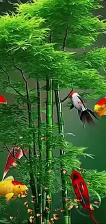 Green bamboo with colorful koi fish mobile wallpaper.