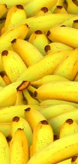 Vivid collection of bright yellow bananas as phone wallpaper.