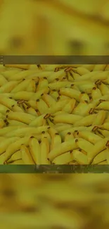 Vibrant yellow banana cluster pattern wallpaper.