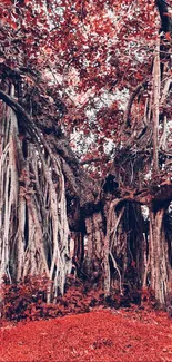 Vibrant banyan tree with red hues on mobile wallpaper.