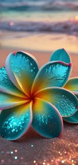 Vibrant turquoise flower on sandy beach at sunset.