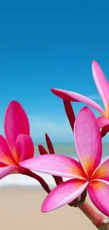 Mobile wallpaper with pink flowers and a blue beach backdrop.