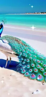 Colorful peacock on tropical beach, stunning turquoise hues.