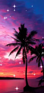 Vibrant sunset with palm silhouettes on a tropical beach.