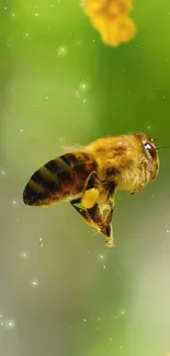 A vibrant bee in flight amidst green and yellow hues.