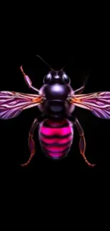 Vibrant bee with purple and pink on a black background, perfect for mobile displays.