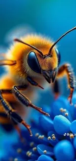 A vibrant bee perched on a vivid blue flower.