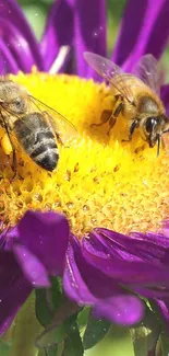 Bees on a purple flower with a bright yellow center in a vibrant nature scene.