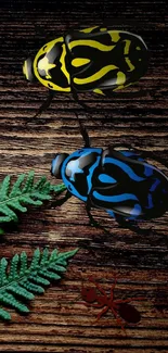 Colorful beetles on wooden texture background with green ferns.