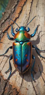 A vibrant beetle with colorful patterns on a wooden surface.